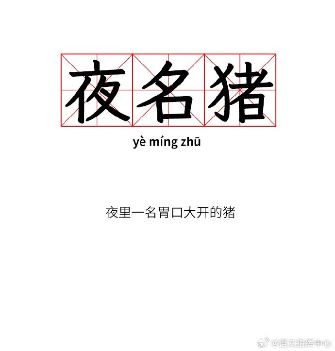 Word文档图片