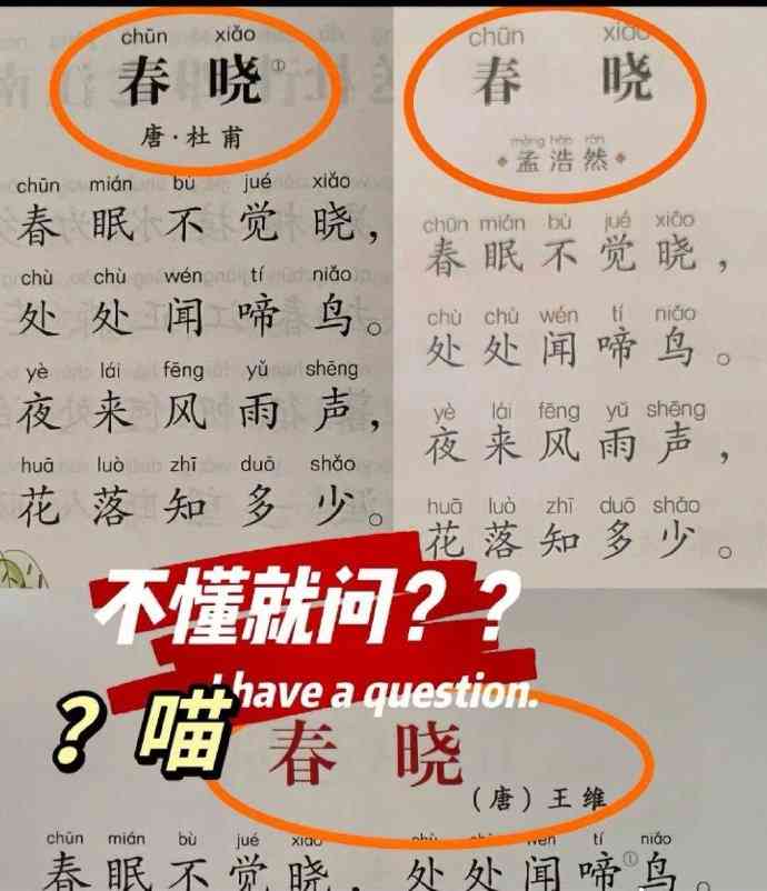 Word文档图片
